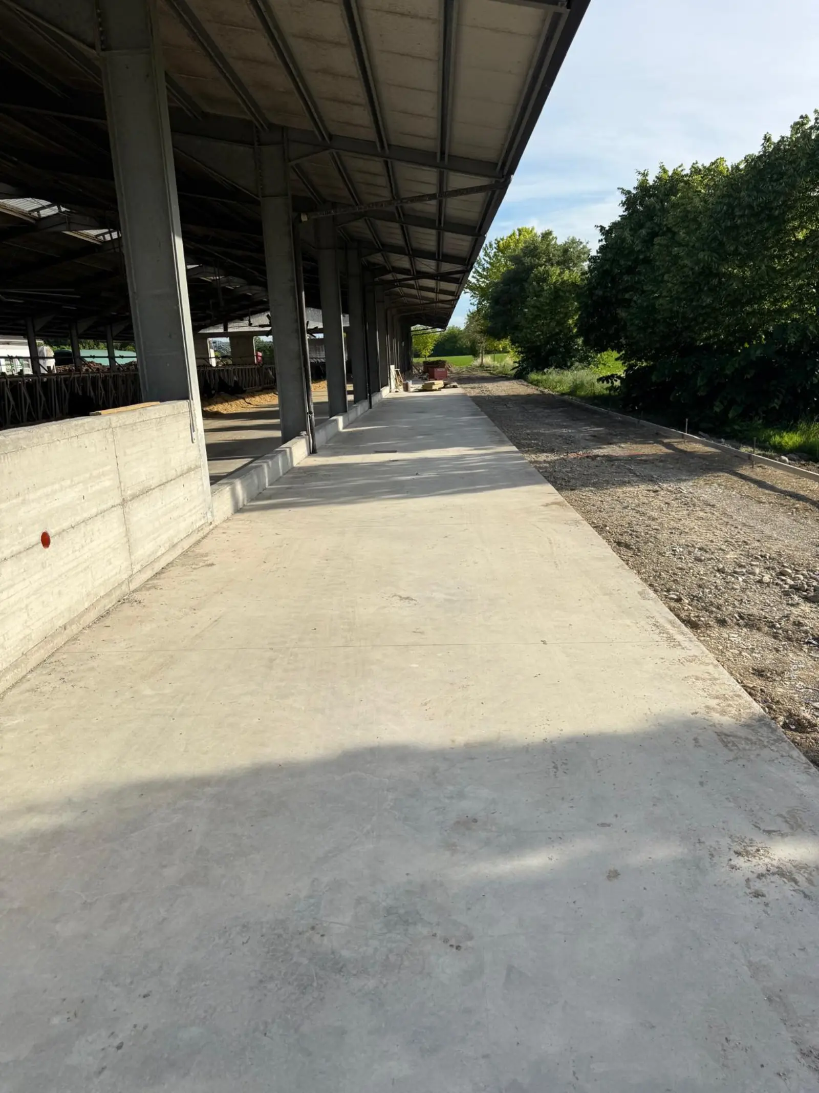 Scarificatura e Taglio Pavimentazioni — EDILSERVICE Scarificatura e Taglio Pavimentazioni — cantiere EDILSERVICE n. 6 nel Nord e Centro Italia